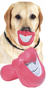 canine dog feral lips nightmare_fuel novelty photo real smile what