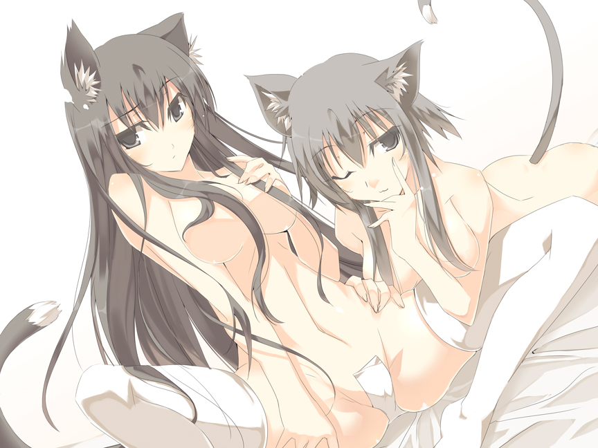 breasts brown_eyes brown_hair cat_ears catgirl female hair long_brown_hair long_hair plain_background tail unknown_artist white_background
