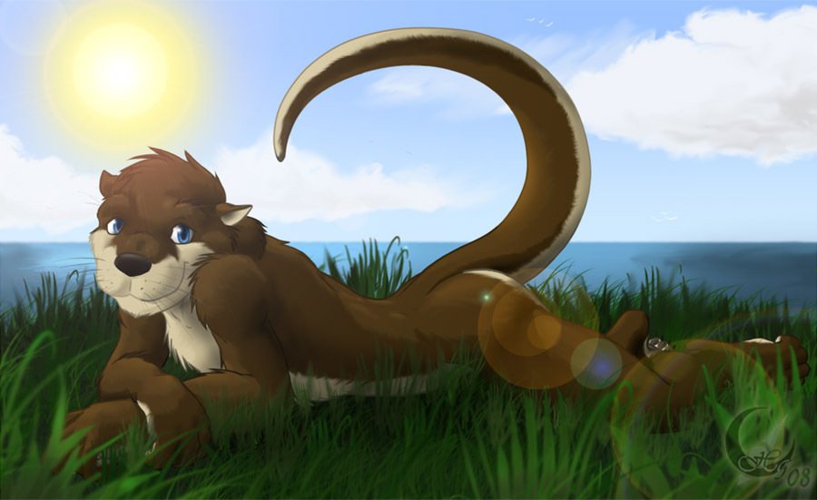 cute grass hindpaw lake otter solo sunshine