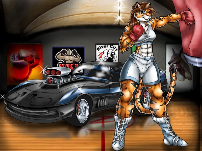 abs automobile boots boxing boxing_gloves car feline female gloves gym muscle_car muscles posters punching_bag shiny stripes tail tiger zorro_re