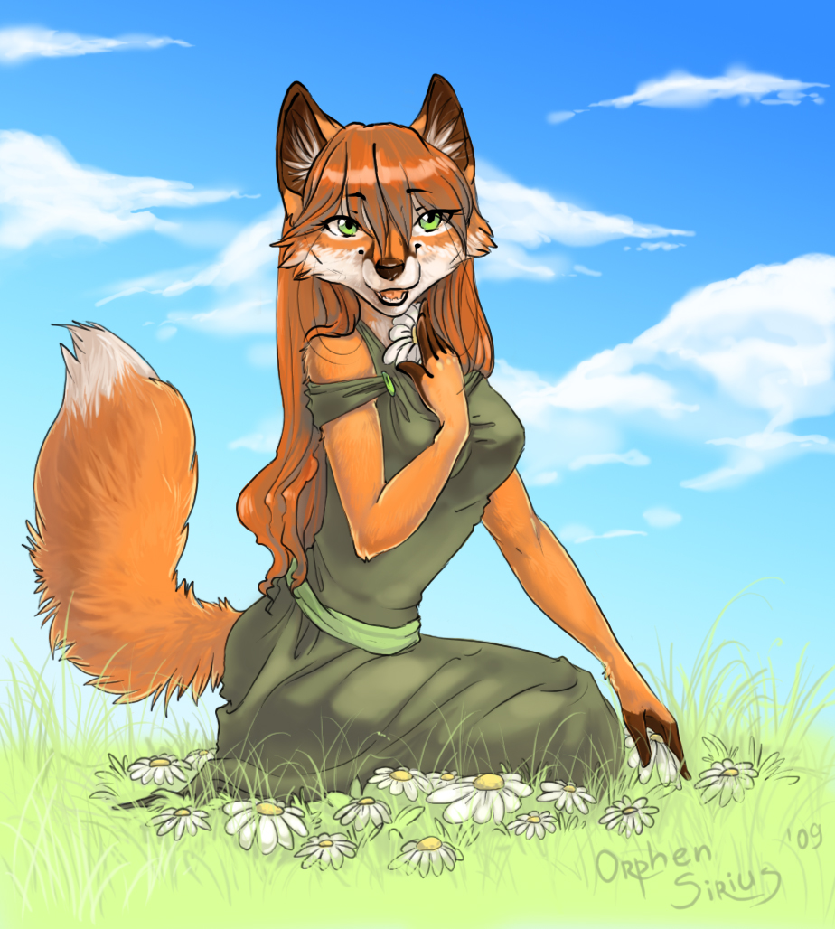 canine daisies dress female field fox kneeling orphen-sirius outside solo summer