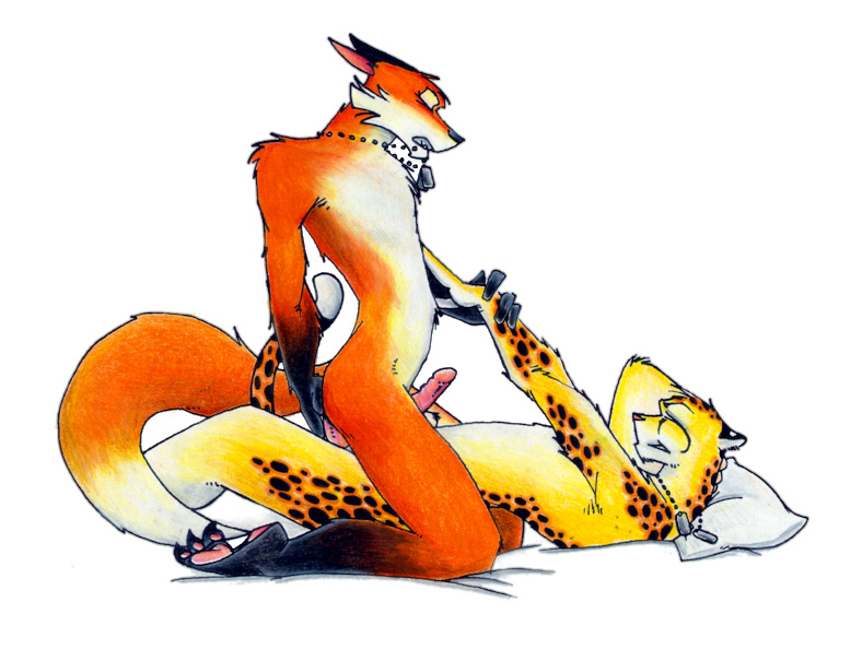 anal anal_penetration canine cheetah chris_goodwin dog_tags feline fox gay male nude penetration penis