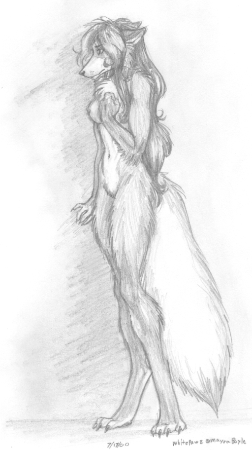 canine chest_tuft female mayra_boyle nervous nude sketch solo uncertain whitepawz wolf