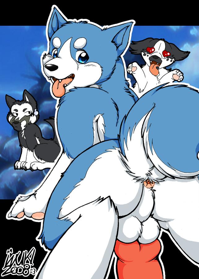 blue_eyes brown_eyes butt canine cub inuki knot male red_eyes sweatdrop tongue