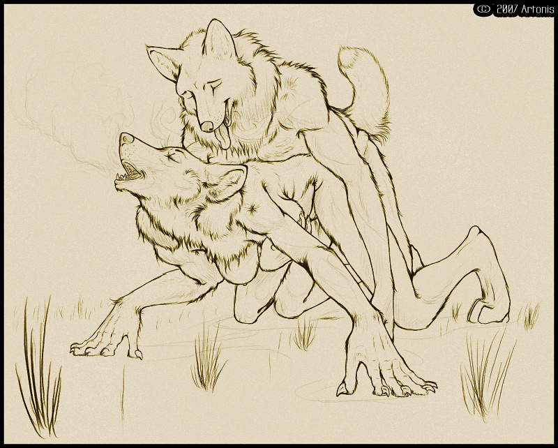 artonis breasts canine coyote female hindpaw male nude sex sketch straight wolf