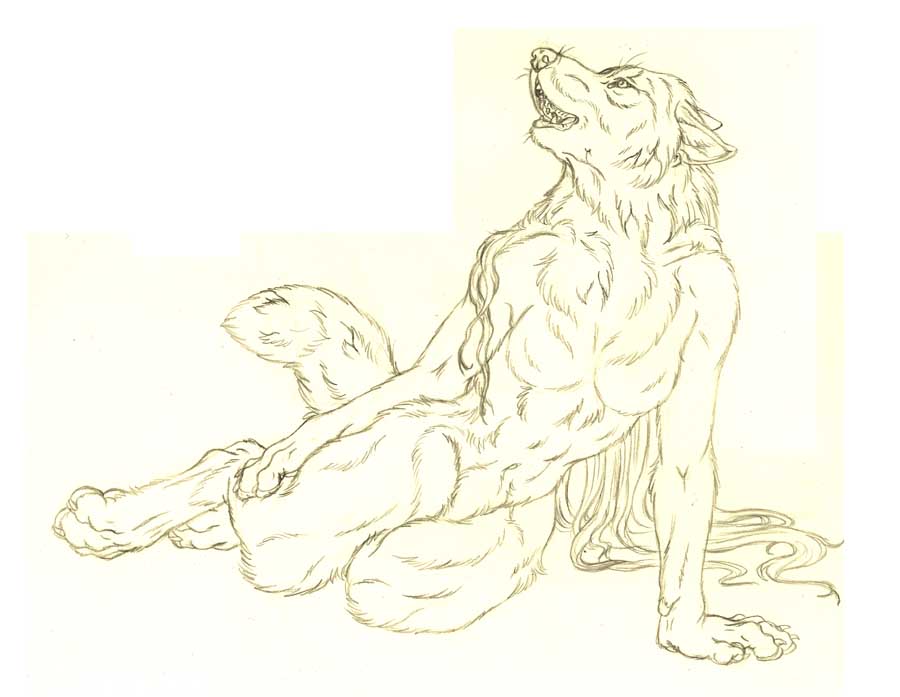 canine female nude sketch solo watergazer_wolf werewolf wolf