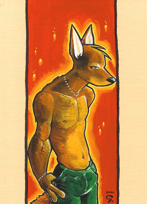 canine chris_goodwin dingo dog male solo topless