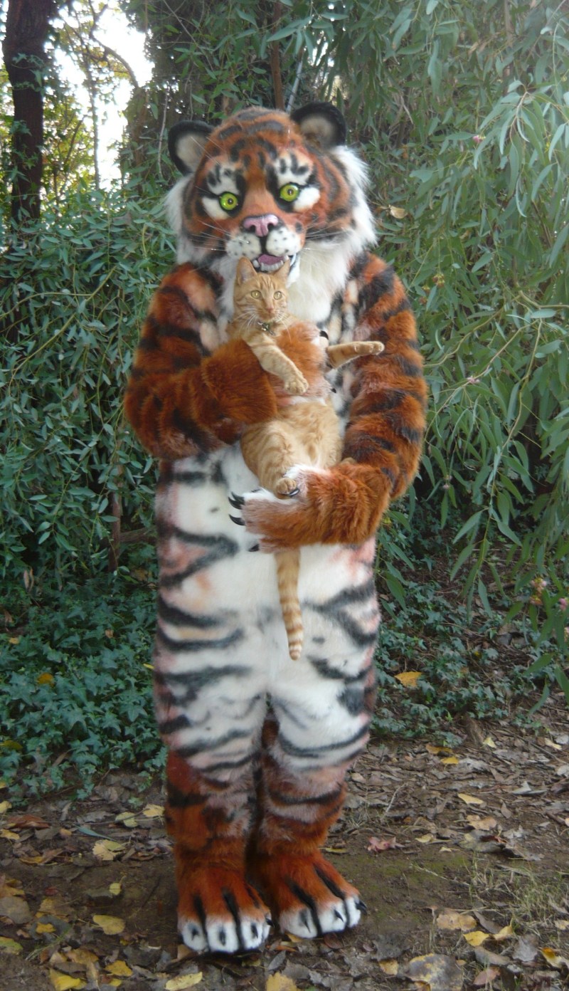 beastcub cat claws feline fursuit photo real tiger