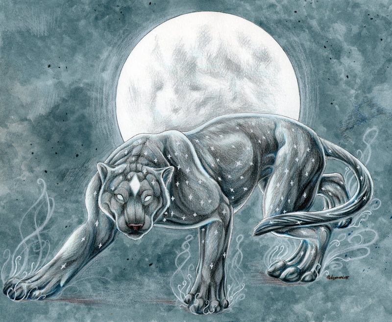 cougar feline looking_at_viewer lyanti markings moon