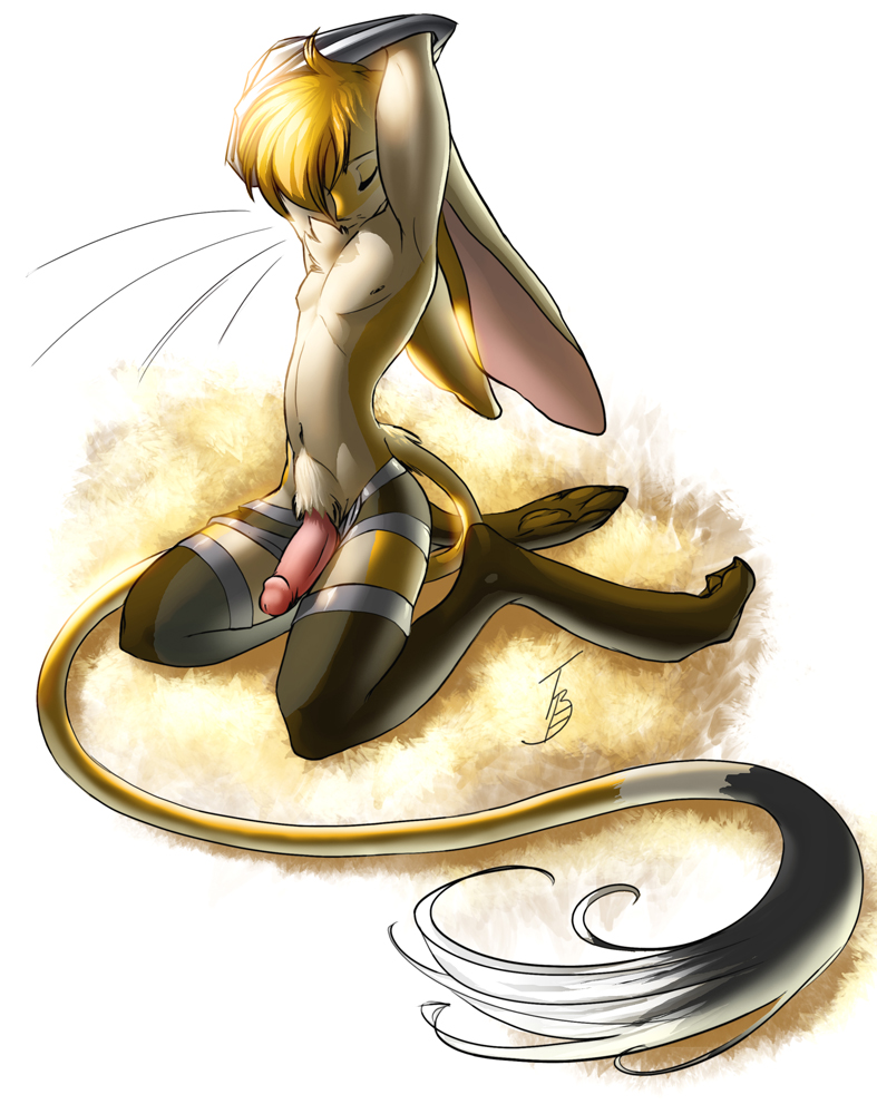 boy cute hindpaw jerboa kangaroo_rat kneeling male mouse penis peritian rodent solo