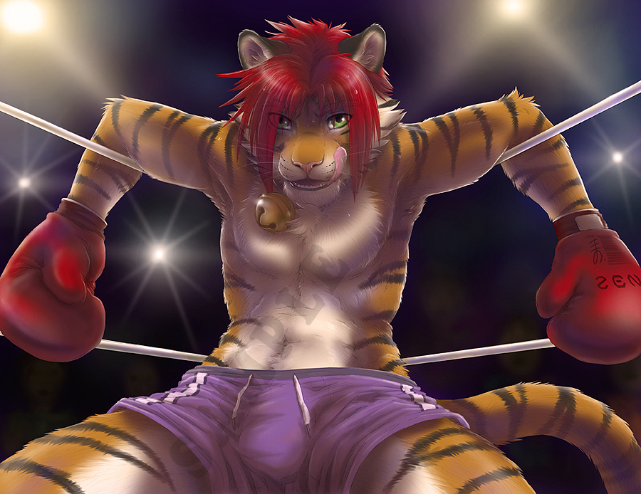 audience bell boxing boxing_gloves boxing_ring bulge chest_tuft clothing feline fighter fighting_ring fur gay gloves joshua licking looking_at_viewer male mammal shorts solo tiger tongue topless tuft zen