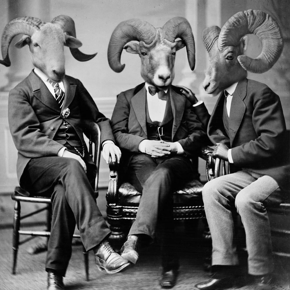 caprine edit grand_ole_bestiary greyscale human looking_at_viewer male mammal monochrome photoshop ram real sheep shopped sitting unknown_artist