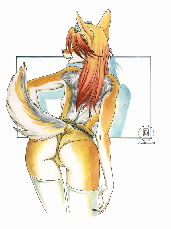 2009 back breasts butt camel_toe canine coyote female glasses kacey panties presenting quill_(character) raised_tail shorts side_boob solo stockings sunglasses tail topless underwear white_background