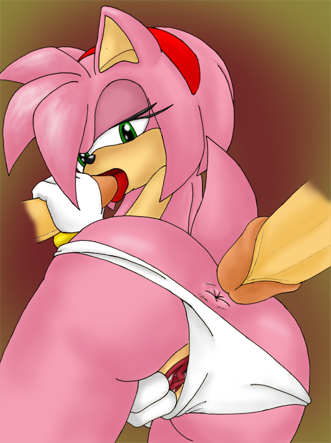 amy_rose sonic_team tagme