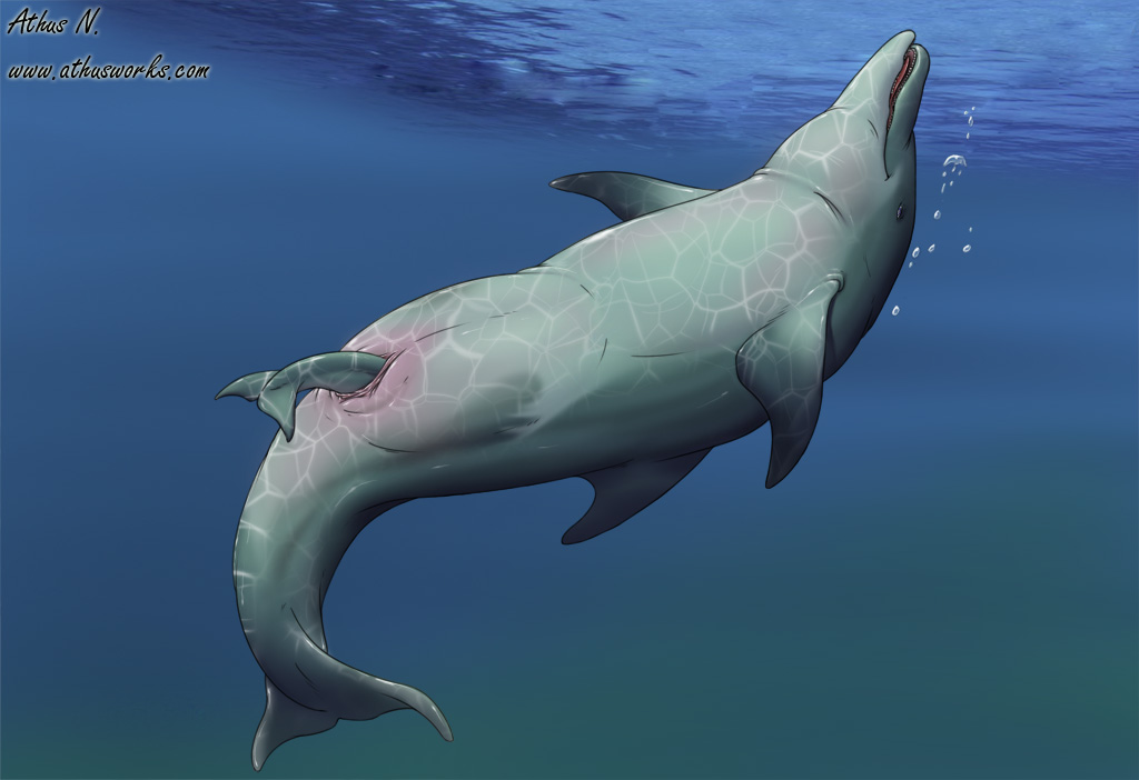 athus birthing cetacean dolphin female feral marine plump_labia pussy solo