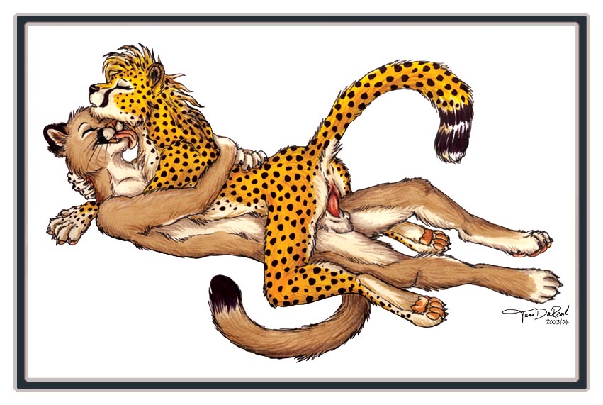anus cheetah cougar couple cowgirl_position cute eyes_closed feline female hug licking love male nude orgasm penetration penis pussy raised_tail sex straddling straight tail tani_da_real tongue vaginal vaginal_penetration