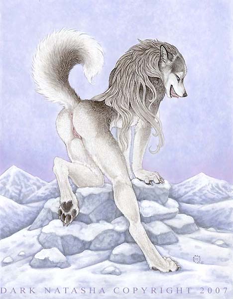 all_fours arctic canine dark_natasha dog female husky ice nude presenting snow solo