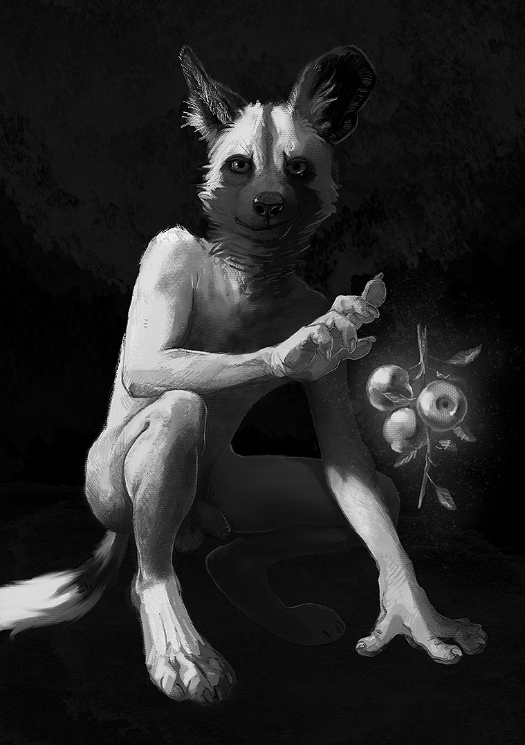 2019 african_wild_dog anthro apple balls canid canine crouching digital_media_(artwork) digitigrade everruler flaccid food foreskin fruit fur glowing humanoid_penis levitation looking_at_viewer male mammal monochrome multicolored_fur nails nude pawpads penis simple_background smile smirk solo uncut