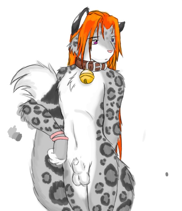 accelo chest_tuft collar feline male sheath snow_leopard solo white_background