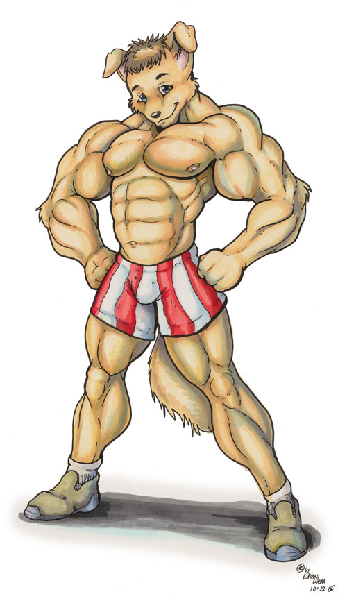 anthro blue-eyes blue_eyes bulge canine clothing flexing floppy_ears looking_at_viewer male mammal muscles nipples pose shorts six_pack smile solo stripes tail wolfgangcake