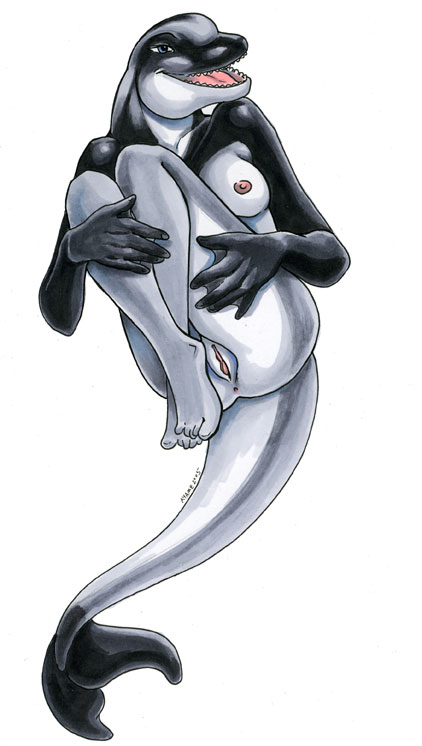ayame_emaya breasts cetacean female marine nude orca pussy solo