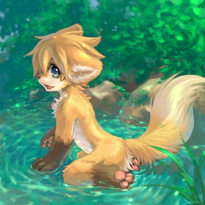 canine cute fox jeacn kneeling male pose solo water