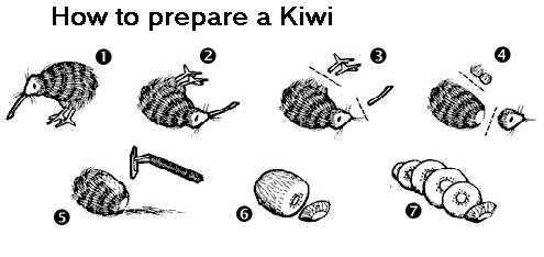 cooking diagram funny guro kiwi parody preparation pun shaving visual_pun what