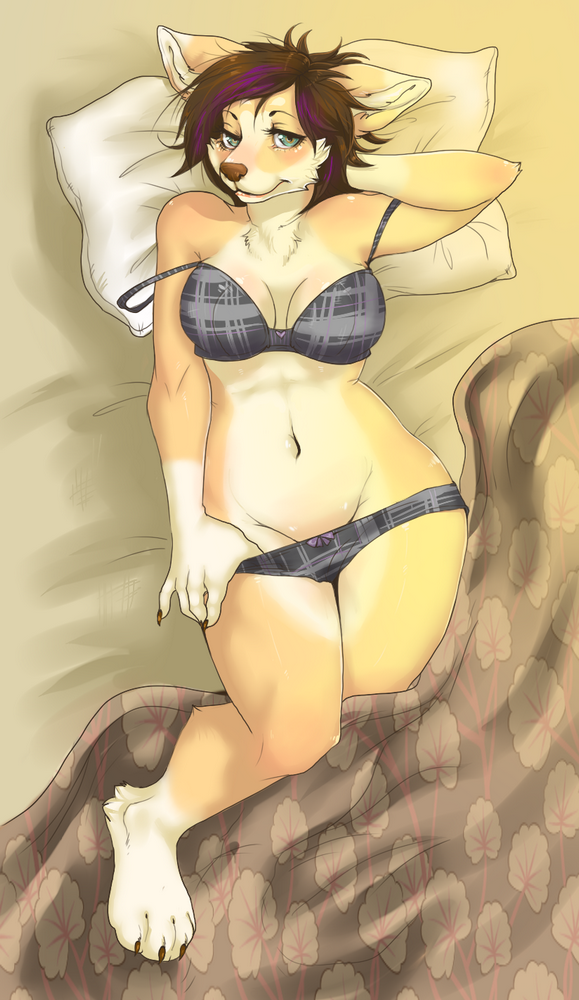 bed blush bra canine clothed clothing corgi dog female lingerie looking_at_viewer mammal panties pinup plaid pose pucacorgi seductive skimpy solo underwear uni voluptuous wide_hips wolf