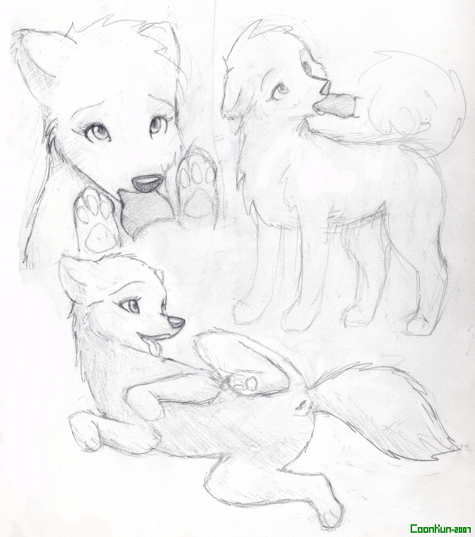 canine coonkun cub dog female feral oral penis pussy sketch solo