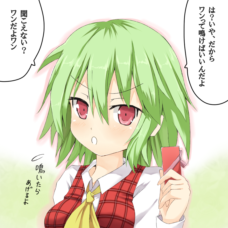 ascot blush efe face gift green_hair holding holding_gift kazami_yuuka open_mouth plaid plaid_vest red_eyes solo touhou translated upper_body vest