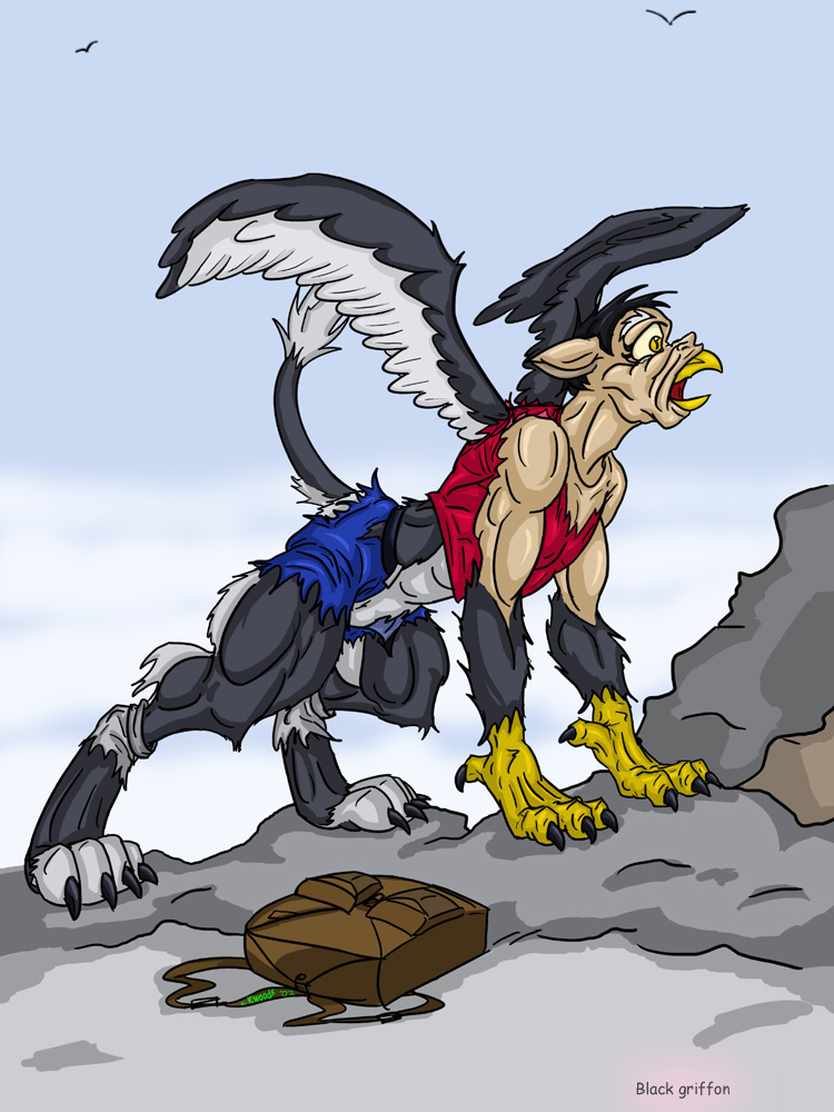 backpack beak belt black black-rat claws clothing ears eyes fur grey_feathers grey_fur gryphon keanon_woods muscles pants paws shirt socks solo tail transformation wings