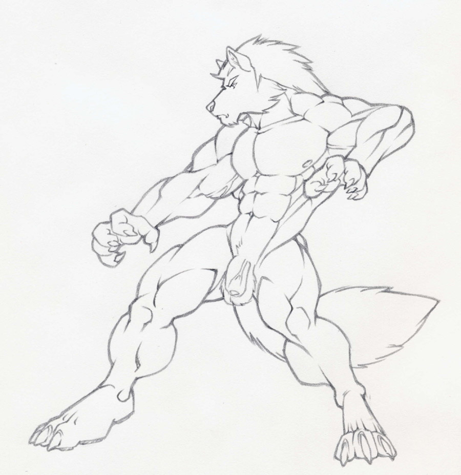balls canine claws male muscles nude penis sketch solo standing tail tkc2021 wolf