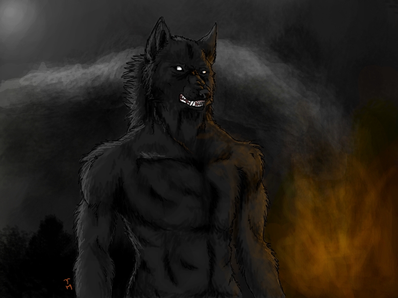 black canine fire fur fursona invalid_tag male mammal nakar night outside shadowbane solo wolf