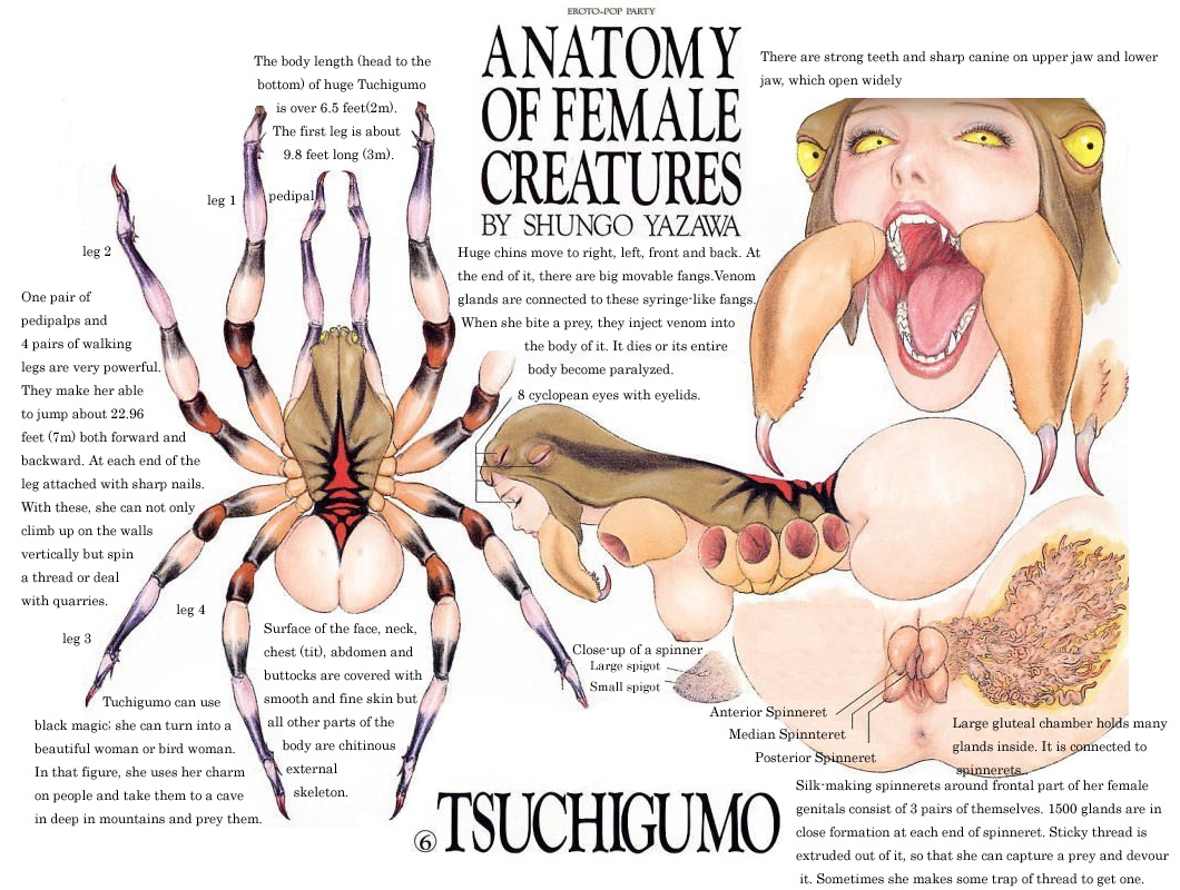 1girl anatomy anatomy_of_female_creatures anus cryptozoology fangs female gaping_maw human hybrid insect_girl japanese_mythology monster_girl nightmare_fuel open_mouth pussy shungo_yazawa source_request spider spider_girl tsuchigumo what x-ray