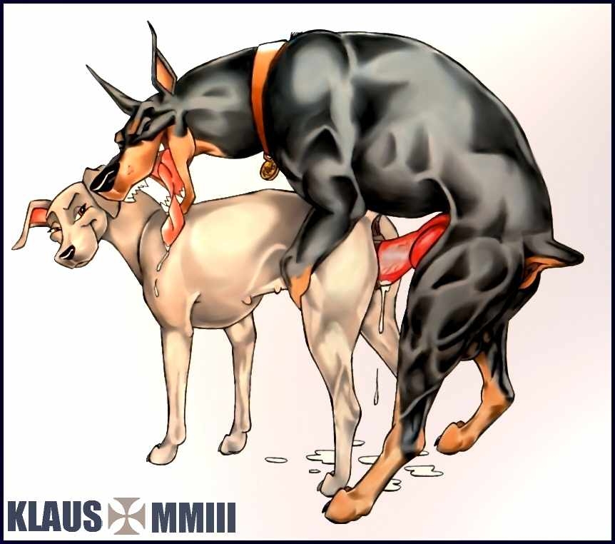 anatomically_correct_pussy animal_genitalia anus canine canine_pussy collar couple cum cum_in_pussy cum_inside doberman dog drool drooling duo female feral feral_on_feral germany klaus klaus_doberman knot male mammal nipples open_mouth penetration penis plain_background pussy saliva sex straight tongue tongue_out vaginal vaginal_penetration white_background