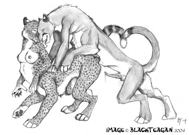 blackteagan breasts cheetah cougar erection feline female male mounting penis taur