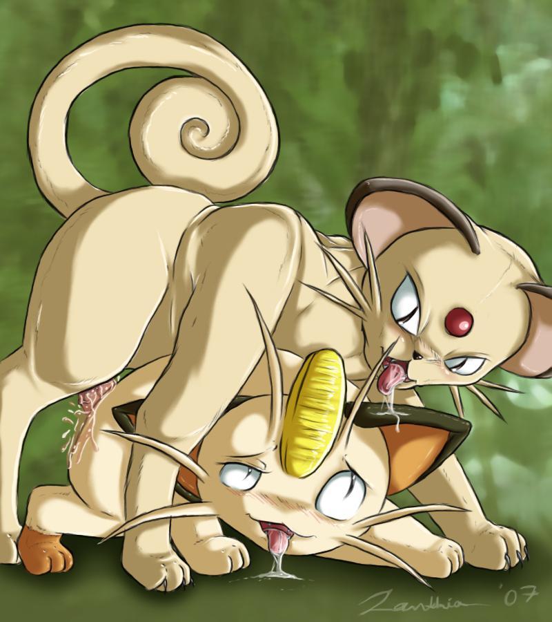 cat feline meowth penis persian pok&eacute;mon saliva teeth tongue