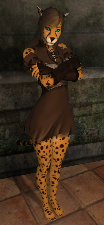 cheetah clothing feline female nonyxia oblivion oblivion_(game) the_elder_scrolls video_games