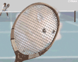 cyriak feral funny gif hamster humor low_res mammal not_furry peta rodent tennis tennis_racquet what