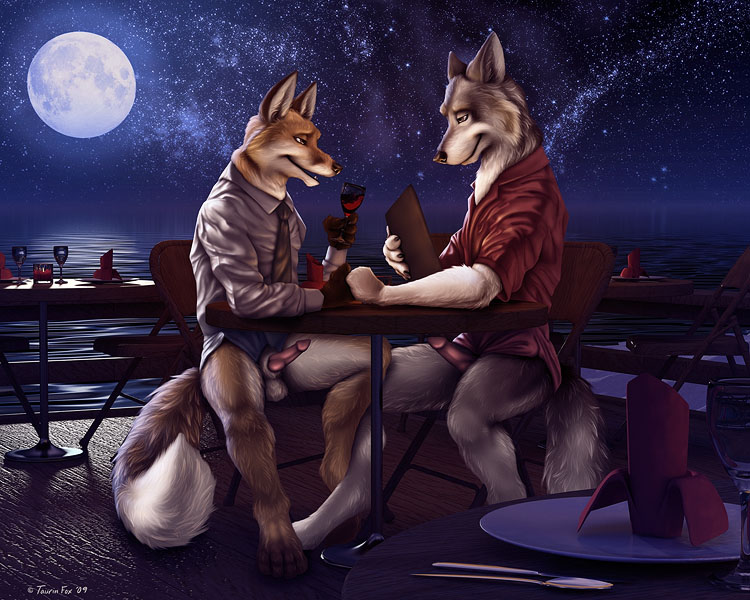 2009 alcohol balls bottomless canine canine_penis check_please couple date foot_play fox gay hindpaw looking_at_each_other male moon night penis public romantic shirt sitting stars tail taurin_fox tie wine
