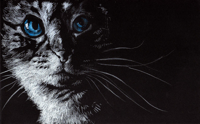 cat feline moth-eatn pet portrait solo