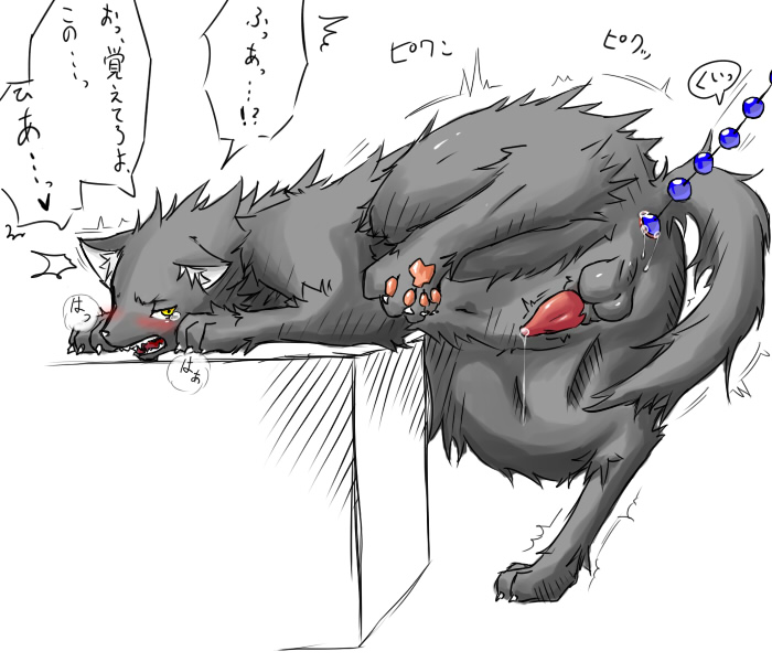 anal anal_beads anal_insertion animal anus balls black blush canine claws crate cum dialogue dog feral insertion interspecies japanese_text kemono male penis precum sex_toy stone_(artist) tears trembling white_background yellow_eyes