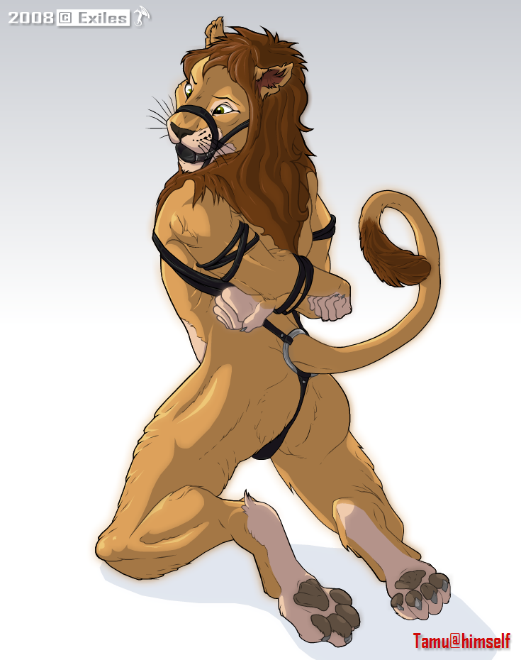 bdsm bondage bound exiles feline gag lion male mammal nude paws plain_background solo tamu white_background