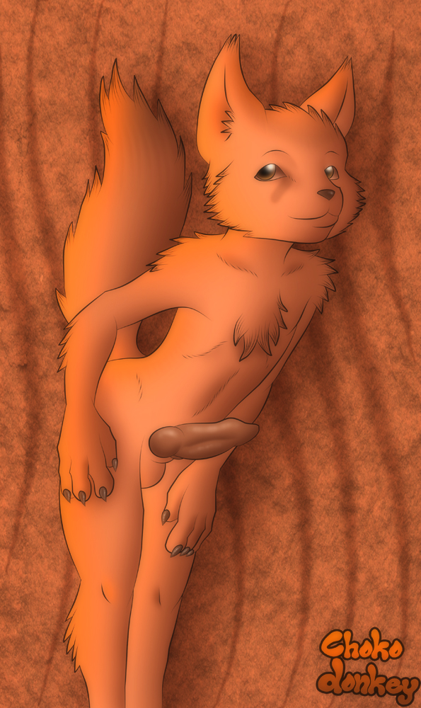 balls canine chokodonkey fennec fox knot male mammal nude orange orange_theme penis solo