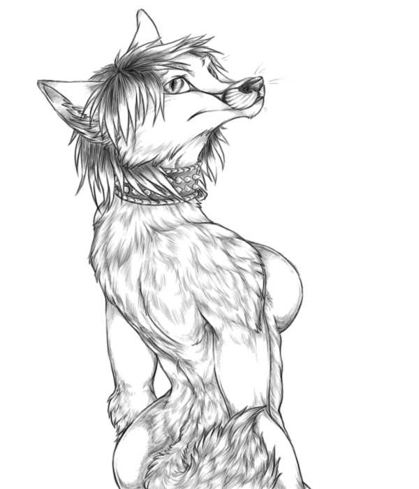 back breasts canine collar female fluffy fox glance nude pixen sarahpixen side_boob sketch solo spikes