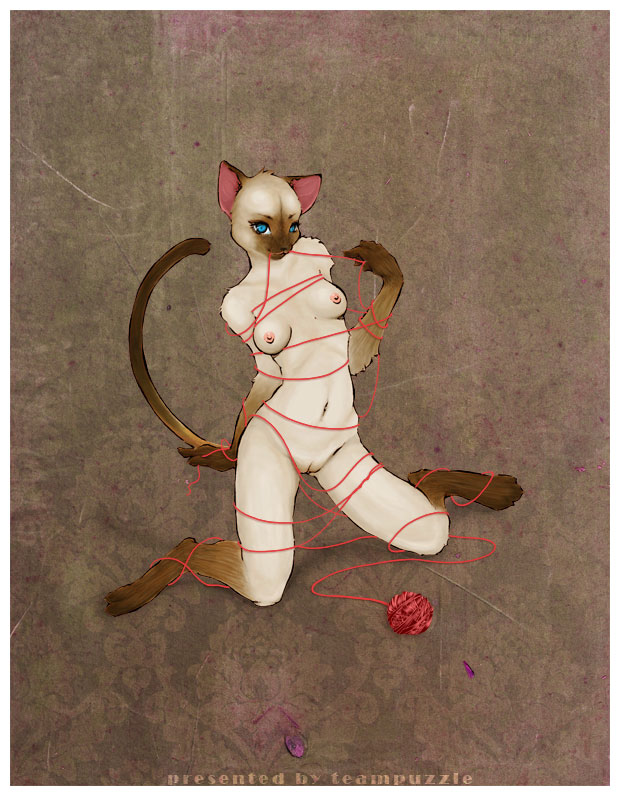 cat feline female kaiven nude pomander solo string yarn