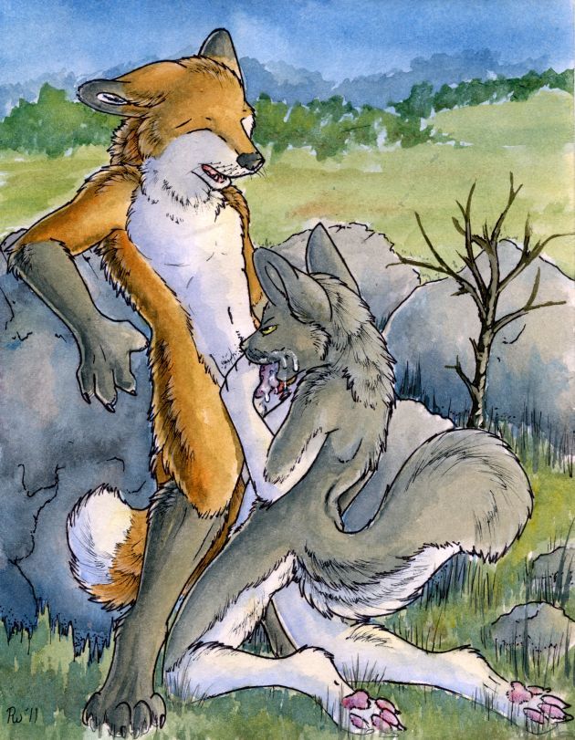 canine cum duo fellatio female fox hindpaw male mammal nude oral oral_sex paws penis ruaidri sex straight