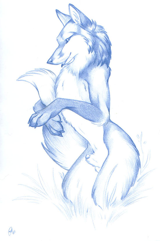 canine feral fox male mammal monochrome nduli nude penis penis_tip plain_background sheath sketch solo white_background