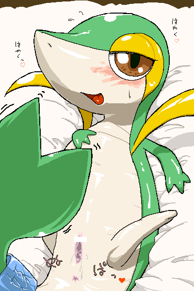 pokemon snivy tagme