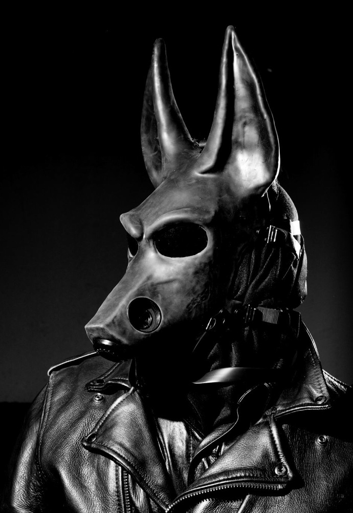 anubian_jackal canine fursuit hawkwolf human jackal latex leather male mask monochrome photo portrait real rubber solo